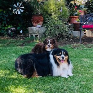 Meet your Posher, Peggy